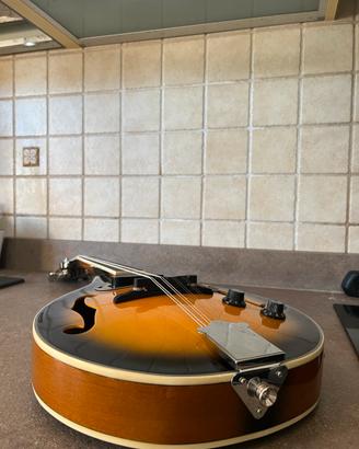 Mandolino Amplificato