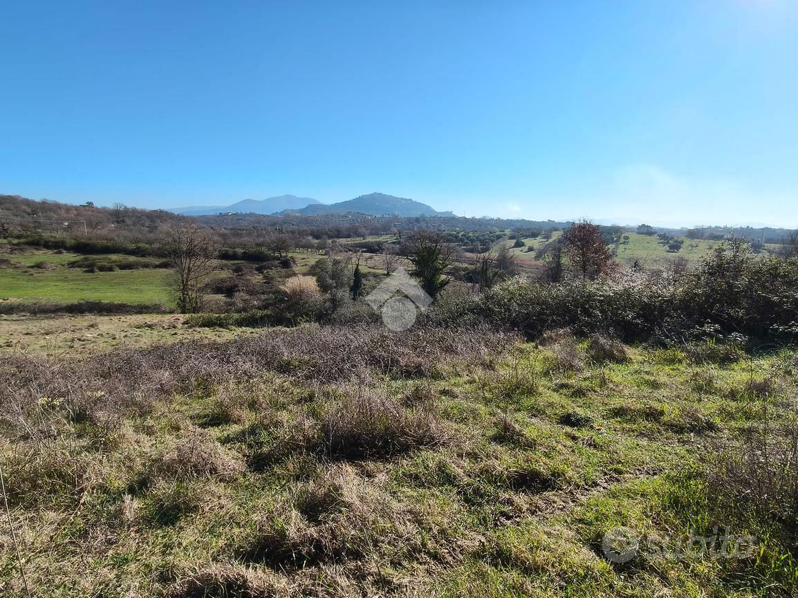 TER. AGRICOLO A SANT'ANGELO ROMANO - Vista 4