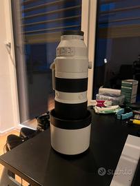 Sony FE 200-600mm f/5.6-6.3 G OSS