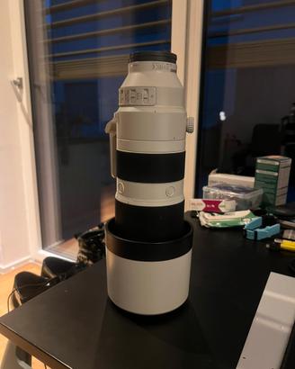 Sony FE 200-600mm f/5.6-6.3 G OSS