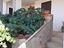 Immagine 14
