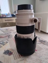 canon 70-200 f2.8 Lis2usm