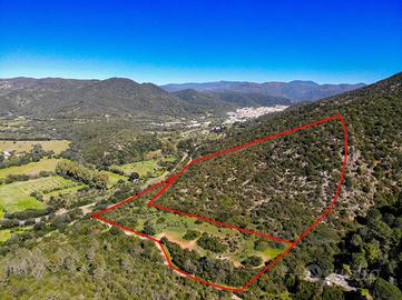 Area verde a Teulada