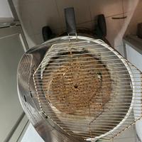 Barbecue da Giardino