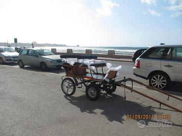 Carrozza
