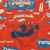 Copripiumino e coprimaterasso con federa Spiderman