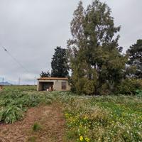 Deposito con terreno agricolo