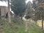 Immagine 11