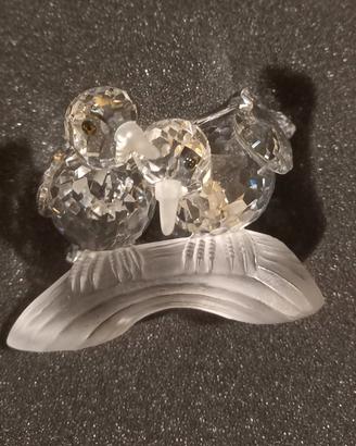 Collezione cristalli Swarovski 