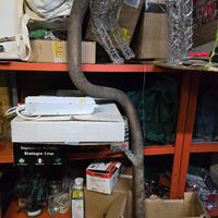 scarico centrale peugeot 207 gti