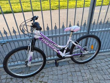 Bicicletta Montana