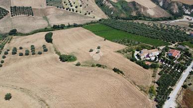 TER. AGRICOLO A ROSETO DEGLI ABRUZZI
