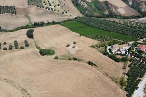 TER. AGRICOLO A ROSETO DEGLI ABRUZZI