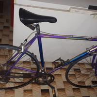 Bicicletta da uomo