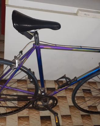 Bicicletta da uomo