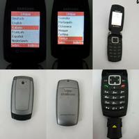 2 cellulari samsung sgh-x510v