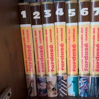 Enciclopedia far da sè curcio editore