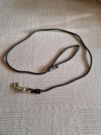 Guinzaglio per cani