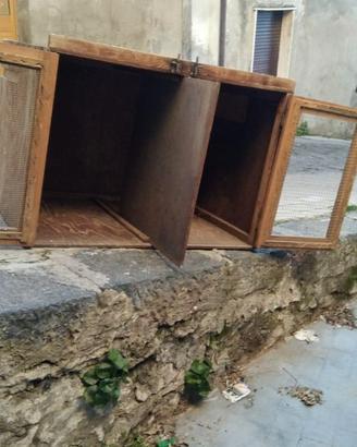 Trasportino per cani