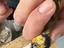Immagine 3