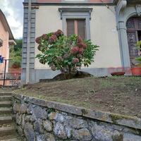 Appartamento Castelnuovo di Garfagnana
