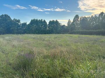 Terreno agricolo a Maerne
