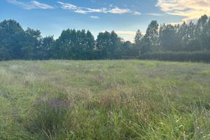 Terreno agricolo a Maerne