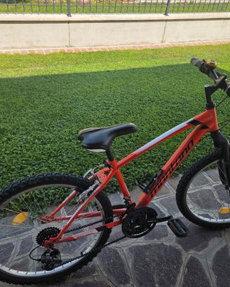 mountain bike come nuova