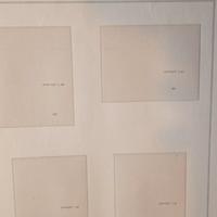 fogli vaticano quartine