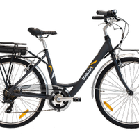 bicicletta elettrica Italwin