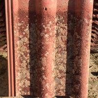 Tegole doppia romana Wierer