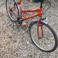 bicicletta donna 26"