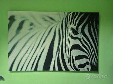 Quadro zebra