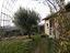 Immagine 28