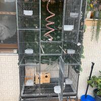 Voliera per Uccelli/ pappagalli 