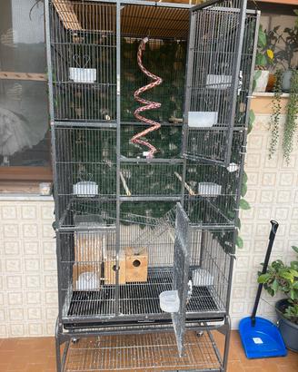 Voliera per Uccelli/ pappagalli 