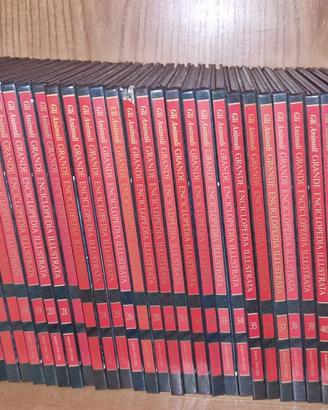 la grande enciclopedia illustrata degli animali