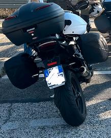 telaietti borse moto triumph tiger sport 1050