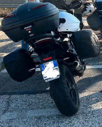 telaietti borse moto triumph tiger sport 1050