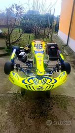 Kart GOLD 125cc marce