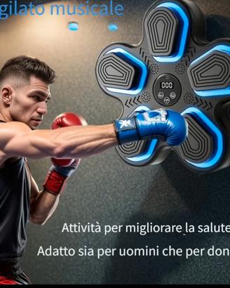 Attrezzatura di allenamento per boxe