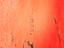Immagine 25