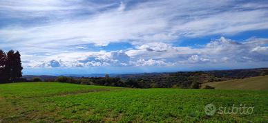 Rustico indipendente Marsaglia