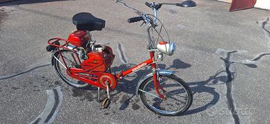 Aquilotto Banchi 1969 Bicicletta a motore