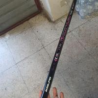 Canna bolognese 7 mt