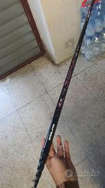 Canna bolognese 7 mt