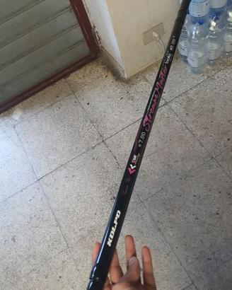 Canna bolognese 7 mt