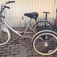 Triciclo Bici Cargo da trasporto