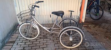 Triciclo Bici Cargo da trasporto