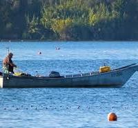 Ccerco posto barca Mira anche acquistare Cavana